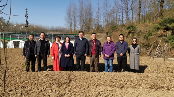湖北省食用菌產業技術體系專家前往宜昌市綜合試驗站開展調研指導工作