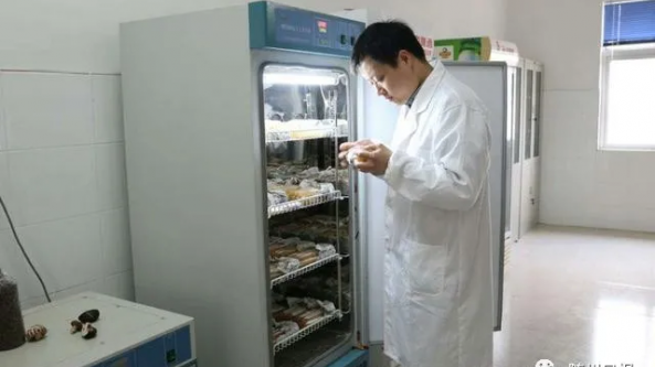 湖北長久菌業副總經理黃天驥：情系菇農 扎根菇鄉 讓人生在廣闊的農村天地綻放芳華