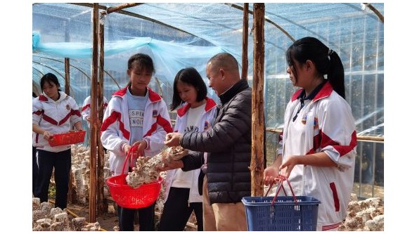 广东省始兴县隘子中学创办食用菌实践基地 体味收获的喜悦与幸福