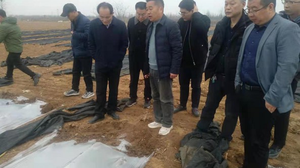 農村社會事業發展中心詹慧龍副主任一行赴九龍公司調研