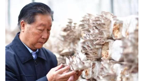 林占熺：用菌草造福全人類 為加快推進鄉村振興和全球可持續發展貢獻力量