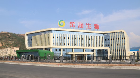 共筑菌夢智贏未來——河南金海生物科技有限公司打造綠色生態農業紀實