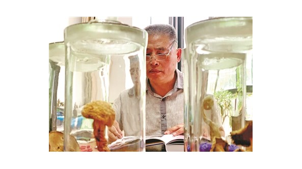 浙江省淳安县微生物研究所副研究员何次平：大山里的“寻菇人” 让菌菇成为富农新产业