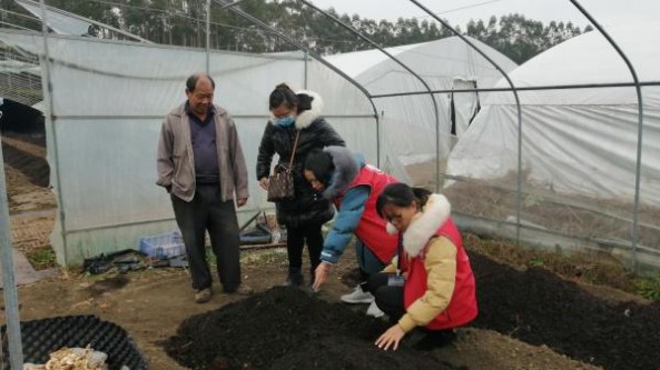 廣西桂林市農(nóng)業(yè)科學(xué)研究中心專家前往靈川縣指導(dǎo)食用菌生產(chǎn)工作