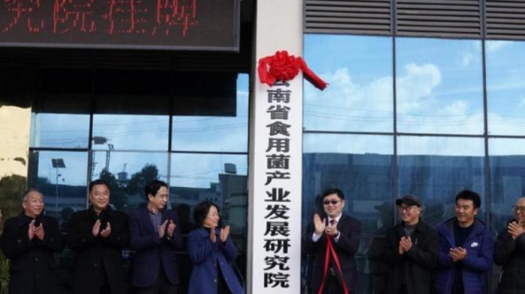 云南省：打造世界一流食用菌科技創(chuàng)新平臺