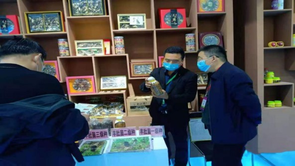 安徽省靈璧縣食用菌產業(yè)年銷售額超億元