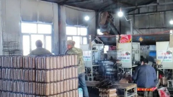 黑龙江省绥阳林业局：小小食用菌 “黑金”变“真金”