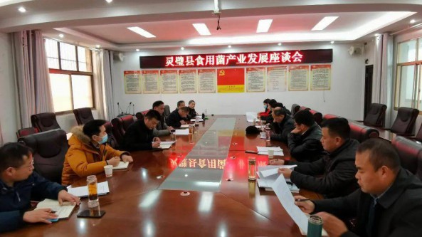 安徽省靈璧縣農(nóng)業(yè)農(nóng)村局召開加快食用菌產(chǎn)業(yè)高質(zhì)量發(fā)展座談會