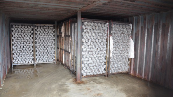 湖北隨縣塔兒山菌業(yè)種植專業(yè)合作社董事長李金國父子創(chuàng)業(yè) 共筑香菇夢