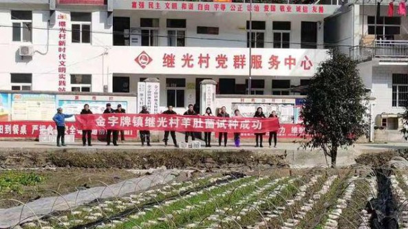 安徽黃山學(xué)院助繼光村試種羊肚菌 喜獲成功