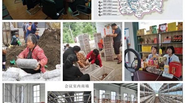 河南省汝陽縣付店鎮(zhèn)：香菇全產(chǎn)業(yè)鏈引領(lǐng)鄉(xiāng)村振興