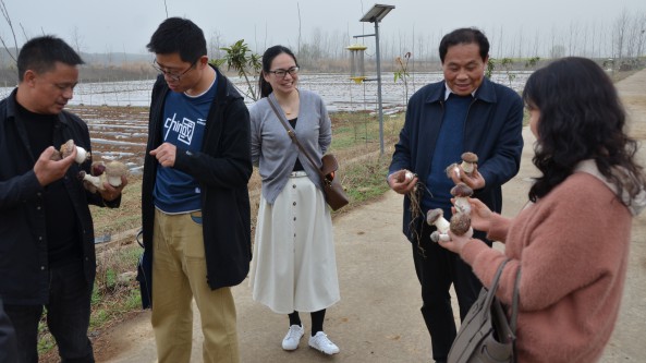 湖北随州香菇学院院长前往华中农大应用真菌研究所恰谈校企合作