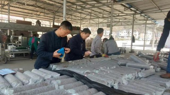 陜西省安康市農科院：扎實推進富硒香菇全產業鏈科研開發工作