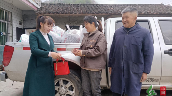 安徽岳西縣映山紅愛心協會幫助太陽村農戶推廣滯銷木耳435斤