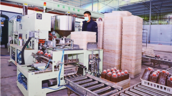 重慶永川區何埂鎮：食用菌智能化生產線投產 年產量由120萬袋提升到1800萬袋