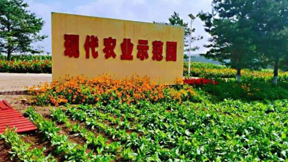 促進我國現代農業發展的政策體系分析