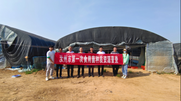 河南省汝州市農業農村局積極開展食用菌種質資源普查工作