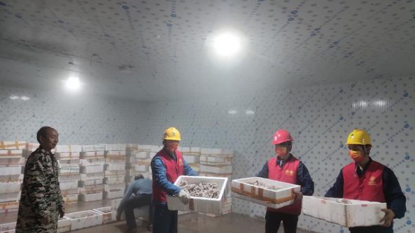 國網江西省贛州市會昌縣供電公司：“優質電”服務平菇基地助力鄉村振興