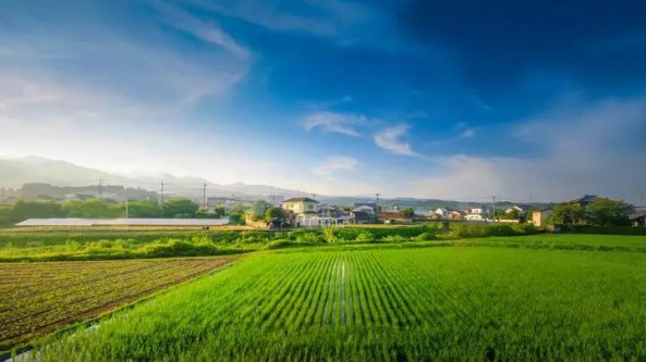 《數(shù)字鄉(xiāng)村發(fā)展行動(dòng)計(jì)劃（2022-2025年）》引爆數(shù)字鄉(xiāng)村建設(shè)大潮