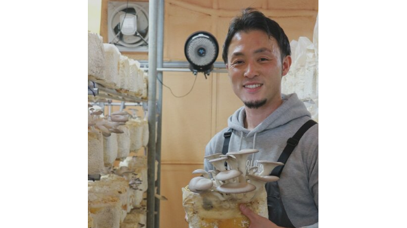 日本京都地區用咖啡渣種植蘑菇實現環保循環利用