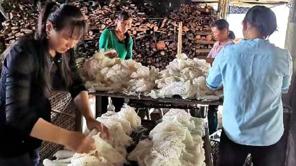江西南城：秸稈種菇 走出全新致富路