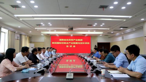 湖南省名優特集團前往新田縣考察洽談花菇全產業鏈菌光互補項目
