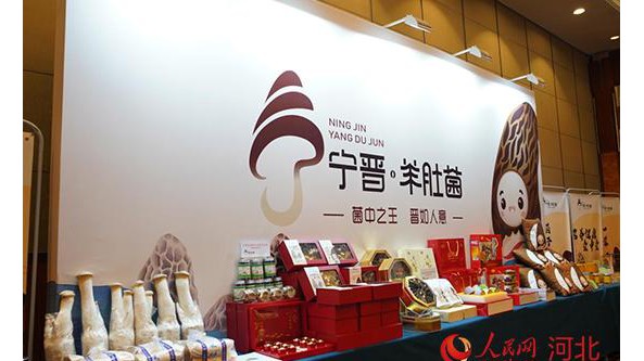 “寧晉羊肚菌”區域公用品牌發布 “冀”字號農產品品牌再添新成員