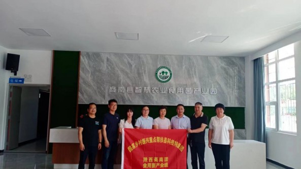 國家科技特派團食用菌產業組在商南開展產業技術服務活動