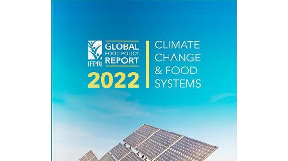《2022全球食物政策报告》发布！农业和食物系统转型将助力应对气候变化的挑战