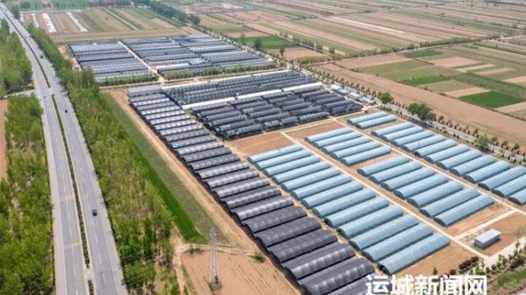 山西萬榮縣：激活推動鄉村振興“一池春水” 香菇產業壯大農村集體經濟