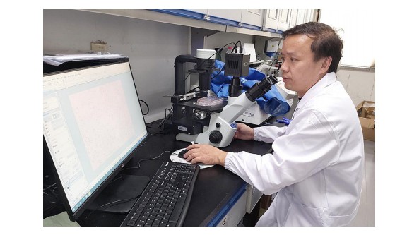 浙江大学教授陈启和：开发适用于蛋白质生产的食用菌菌种 向真菌要优质蛋白