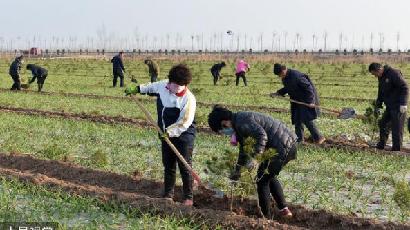 新规严格耕地管控，已建养殖场和已种树木怎么办？5点要清楚