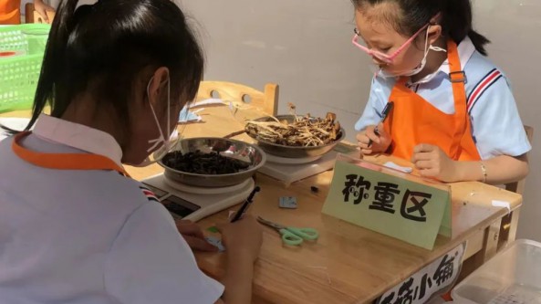 福建省古田縣：將食用菌文化“種子”扎根校園