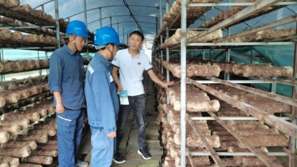 貴州安龍富民鑫食用菌公司：“零距離”服務(wù)食用菌企業(yè) 用實(shí)際行動為鄉(xiāng)村振興賦能
