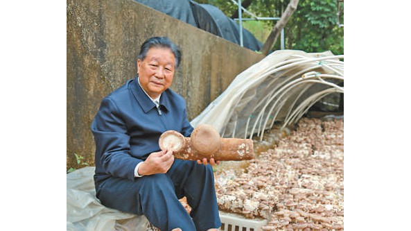 林占熺：研發并推廣菌草種植技術 點草成金造福更多人