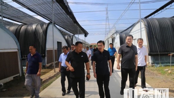 重慶市奉節縣前往濱州市濱城區秦皇臺鄉考察食用菌產業發展情況