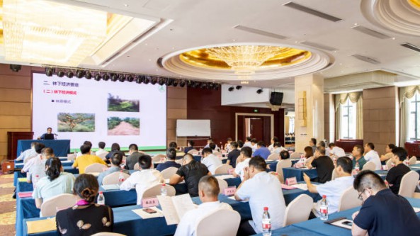 浙江省磐安縣舉辦食用菌共富研討會 成立金華市羊肚菌產(chǎn)業(yè)共享聯(lián)盟