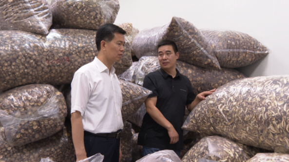 十堰市鄖陽區(qū)委書記胡先平強(qiáng)調(diào)：堅定不移走香菇產(chǎn)業(yè)化發(fā)展之路