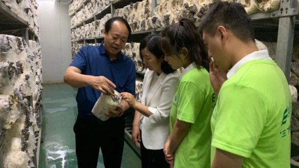 河南農(nóng)業(yè)大學(xué)農(nóng)學(xué)院赴世紀(jì)香食用菌開發(fā)公司開展研學(xué)活動