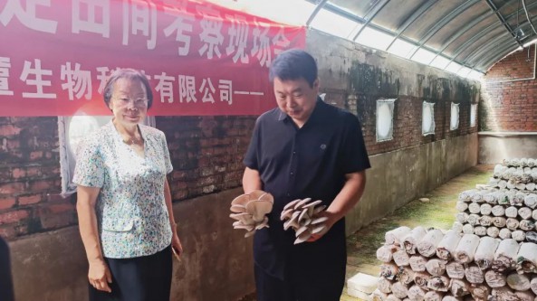 河北平泉食用菌產(chǎn)業(yè)研究院舉辦平菇品種認(rèn)定田間考察現(xiàn)場(chǎng)會(huì)