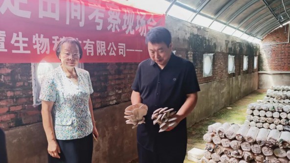 河北平泉食用菌产业研究院举办平菇品种认定田间考察现场会