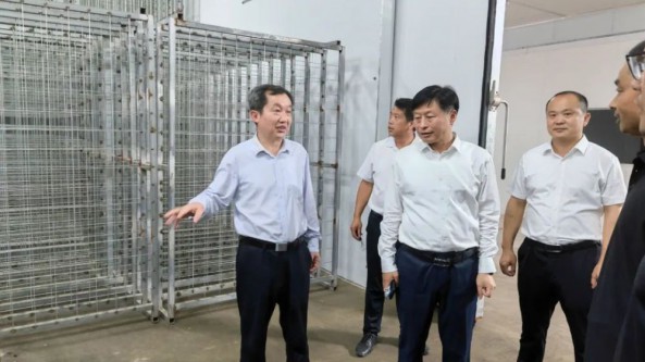 河南清豐縣委書記曹擁軍調研馬莊橋鎮食用菌產業發展情況 助力鄉村振興