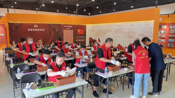 專家“手把手”教食用菌種植技術 北京懷柔區為退役軍人辦技能實訓班