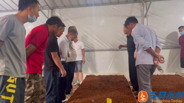 湖南江华黑皮鸡枞菌种植技术培训班成功举办 吸引130余人参加