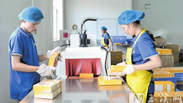 云南易門全力打造食用菌產業新高地