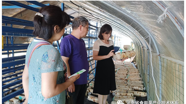 国家食用菌体系岗位专家前往河南信阳站指导食用菌产业发展