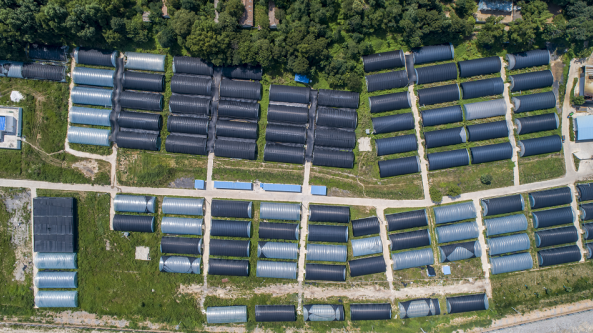 陕西省铜川市蔡河香菇基地：不断壮大村集体经济 小香菇撑起“致富伞”