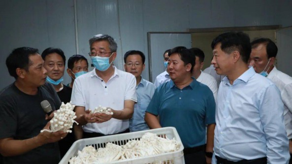 2022年河南省食用菌“雙改”暨高質量發展培訓會在清豐縣成功舉辦