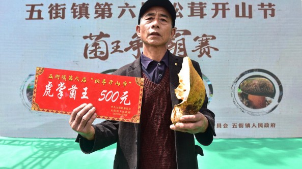 云南省南華縣五街鎮松茸開山節五菌王爭霸 最高獲得1500元獎金