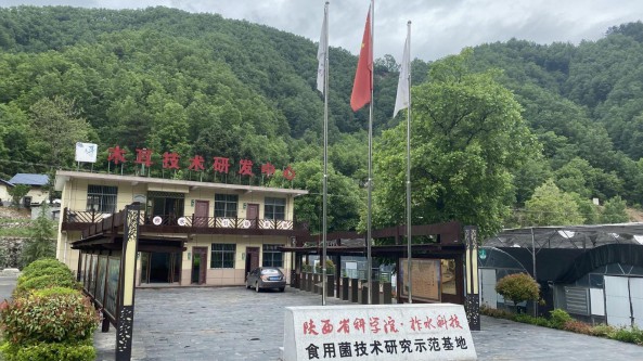 首次部省聯動實施！食用菌產業關鍵技術研究與應用示范項目啟動